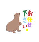 ヨークマの日常スタンプ（個別スタンプ：38）