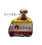 ティーカップまりんスタンプ（個別スタンプ：7）