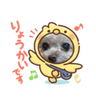 ティーカップまりんスタンプ（個別スタンプ：9）