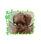 ティーカップまりんスタンプ（個別スタンプ：10）