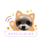 ティーカップまりんスタンプ（個別スタンプ：12）