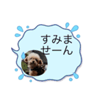 ティーカップまりんスタンプ（個別スタンプ：13）
