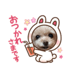 ティーカップまりんスタンプ（個別スタンプ：16）