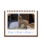 ティーカップまりんスタンプ（個別スタンプ：20）