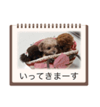 ティーカップまりんスタンプ（個別スタンプ：22）