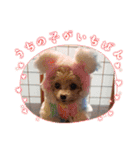 ティーカップまりんスタンプ（個別スタンプ：23）