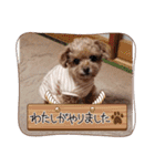 ティーカップまりんスタンプ（個別スタンプ：24）