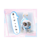 うたちゃんの日々の生活（個別スタンプ：8）