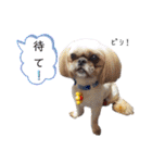 うたちゃんの日々の生活（個別スタンプ：9）