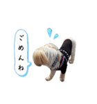うたちゃんの日々の生活（個別スタンプ：20）