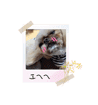 うたちゃんの日々の生活（個別スタンプ：31）