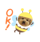 いちごワンだよ5（個別スタンプ：1）