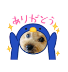 いちごワンだよ5（個別スタンプ：2）