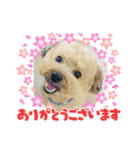 いちごワンだよ5（個別スタンプ：3）