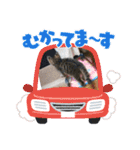 もか日常 ⑫（個別スタンプ：5）