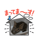 もか日常 ⑫（個別スタンプ：18）