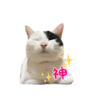 ソラさんのスタンプ Ver.1（個別スタンプ：5）