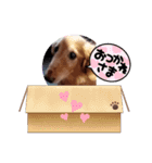 我が家のJohdey②（個別スタンプ：7）