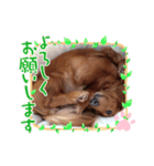 我が家のJohdey②（個別スタンプ：9）
