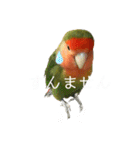 インコのセセリ♂12（個別スタンプ：11）