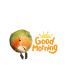 インコのセセリ♂12（個別スタンプ：22）