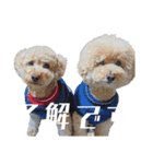 仕事用といぷーどる(仮)（個別スタンプ：3）