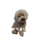 仕事用といぷーどる(仮)（個別スタンプ：10）