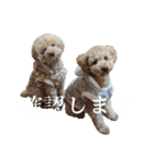 仕事用といぷーどる(仮)（個別スタンプ：14）