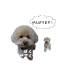 仕事用といぷーどる(仮)（個別スタンプ：15）