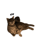 サイベリアンの子猫 こはくさん（個別スタンプ：39）