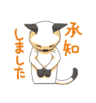 ◯ねこスタンプ◯（個別スタンプ：12）