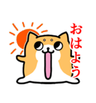 めんどい柴犬 文字あり（個別スタンプ：5）