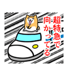 めんどい柴犬 文字あり（個別スタンプ：29）