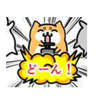 めんどい柴犬 文字あり（個別スタンプ：37）