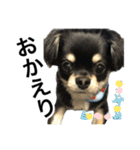 たれチョコ（個別スタンプ：5）