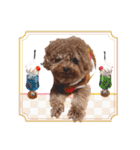 プードル犬マロン6（個別スタンプ：4）