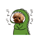 プードル犬マロン6（個別スタンプ：10）