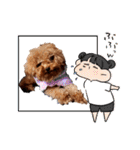 プードル犬マロン6（個別スタンプ：11）