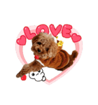 プードル犬マロン6（個別スタンプ：14）