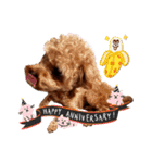 プードル犬マロン6（個別スタンプ：15）