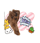 プードル犬マロン6（個別スタンプ：18）