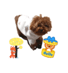 プードル犬マロン6（個別スタンプ：20）
