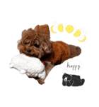 プードル犬マロン6（個別スタンプ：25）