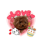 プードル犬マロン6（個別スタンプ：40）