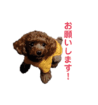 つねえま(0才)（個別スタンプ：27）