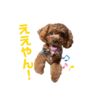 つねえま(0才)（個別スタンプ：35）