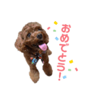 つねえま(0才)（個別スタンプ：39）