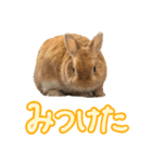 大好きぺんたん（個別スタンプ：6）