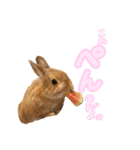 大好きぺんたん（個別スタンプ：8）