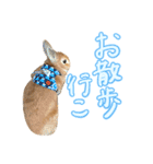 大好きぺんたん（個別スタンプ：14）